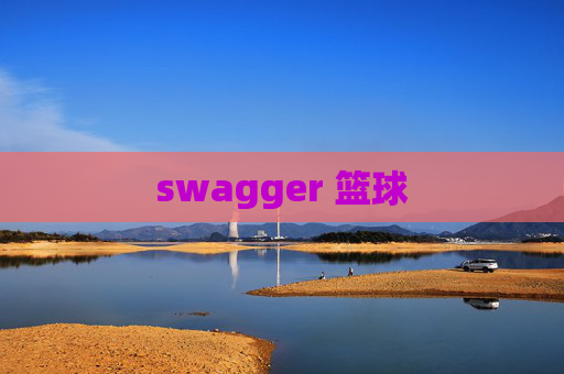 swagger 篮球 swagger 篮球
